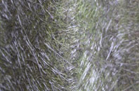 Walshford fibreglass roof work